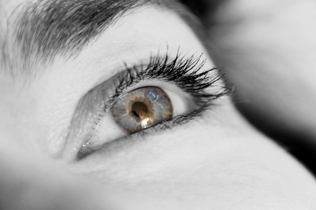 eyelashes, eye, view